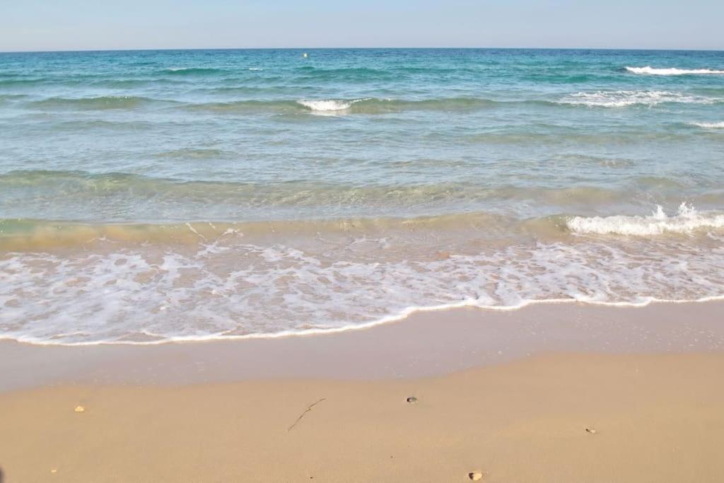 Casa Olivia With Pool Heating Fee Holiday home Torrevieja
